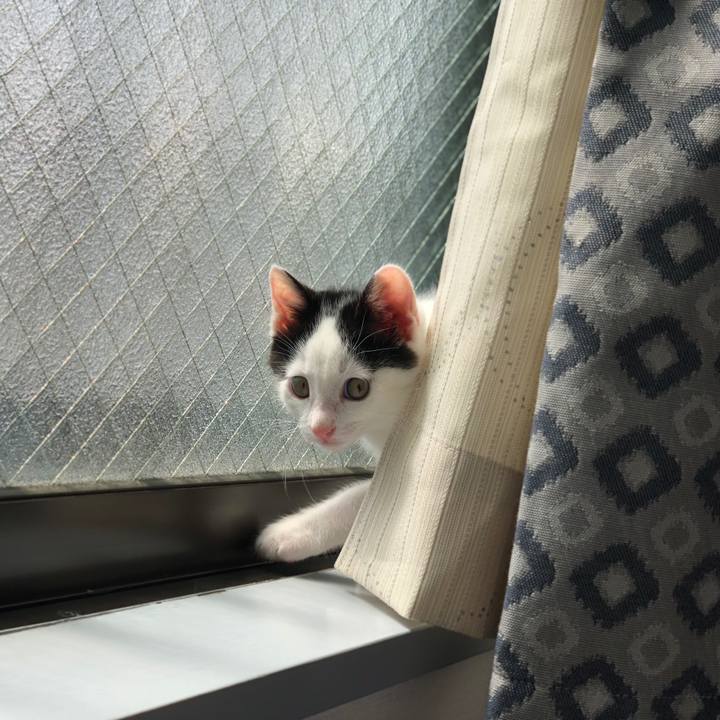 04a49cd9 371f 4420 8f2f 78b7e4ebd806 1529406230566