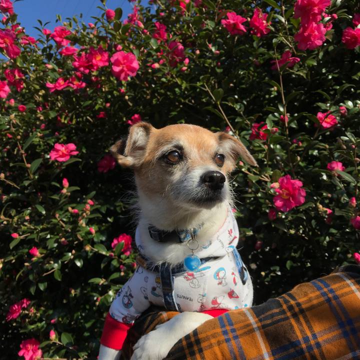 04a49d7d 5121 4bed a4bf 0bcf1f76f305 1606020006138