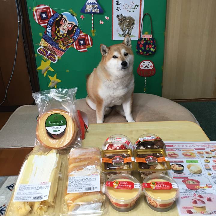 04a4a703 fe8f 4864 a981 0710c64312fd 1610853956911