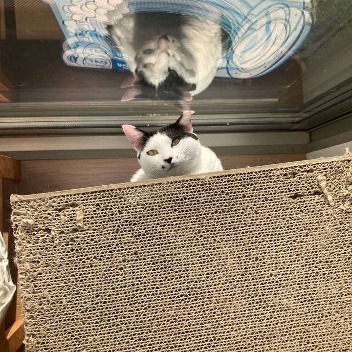 04a4a87a 443c 4d36 a428 41241dc38361 1763356351167