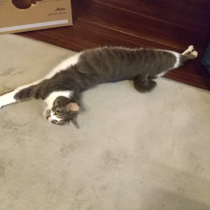 04a4a902 b62a 4183 ac97 d19be062a01d 1603921611213