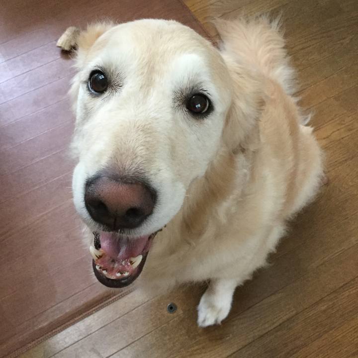 04a4b09d 1f3e 4eab 8cdd 68344a11ae4c 1565819179171