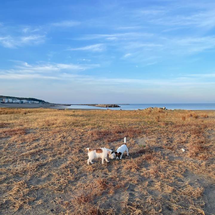 04a4dcc7 c1b3 47ff a193 2ce2475f8952 1731713402468