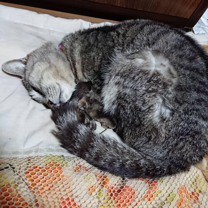 04a4fa73 888d 413b a48d 7a51ff7e619a 1591536899949