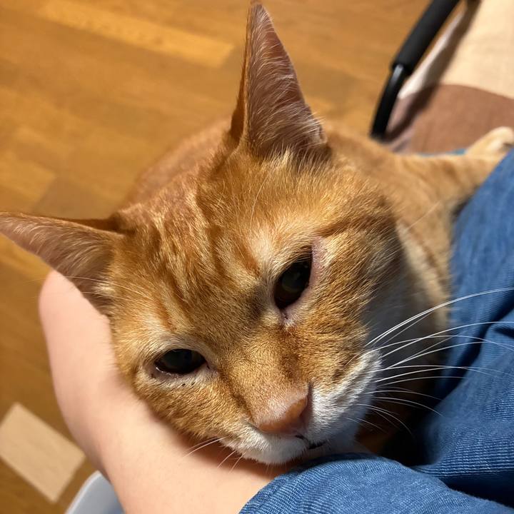 04a51177 12f6 4e0e 84aa e8829dafa26c 1749740708690