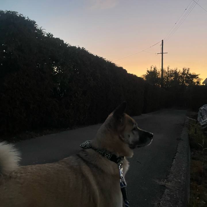 04a5321b dba2 4c95 bbca cac5401e7b10 1673440602222