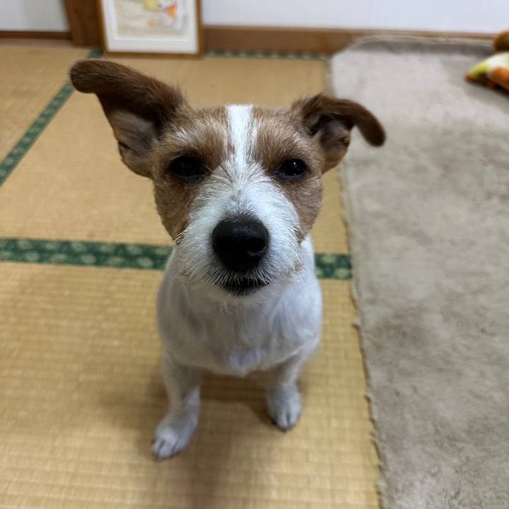 04a53930 59d6 44d4 bce2 c2db5e016ed3 1768512156289