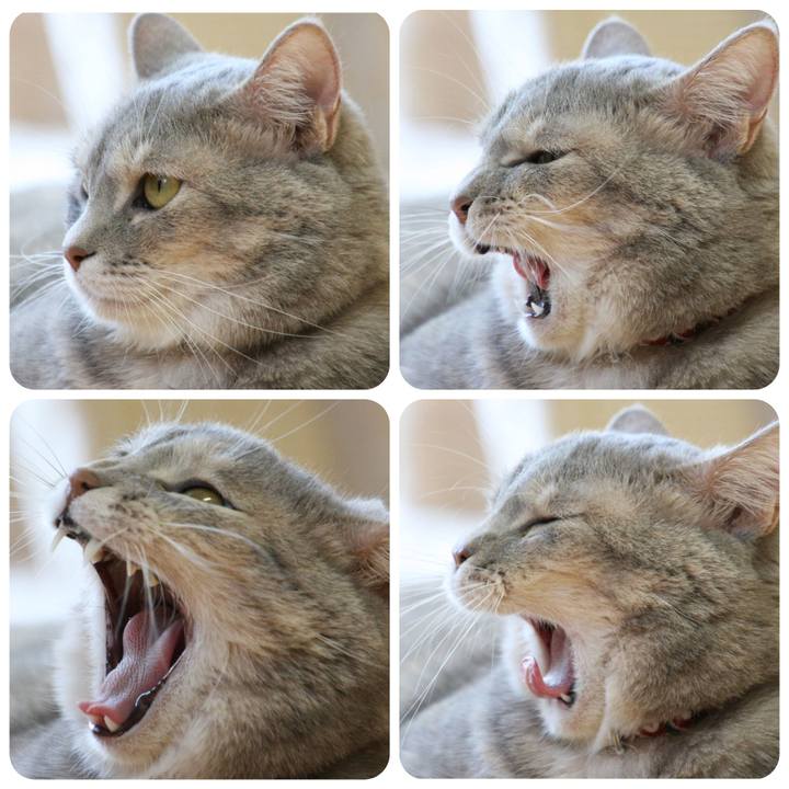 04a5677e 0fad 4547 994e 356b468211c8 1535962619161