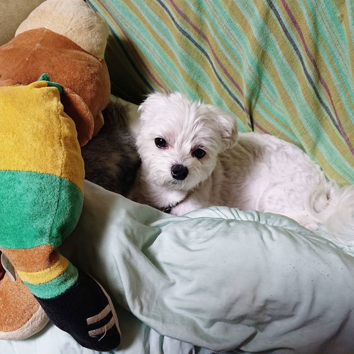 04a5c432 4afc 4e7f 8041 23cc7241ec39 1535372312678