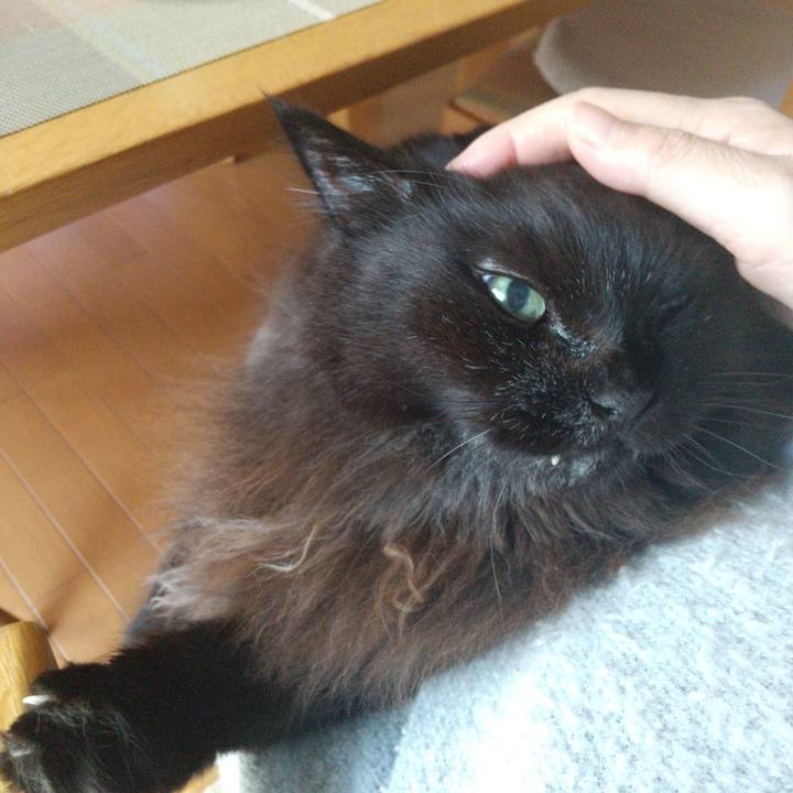 04a5fc52 903b 4342 ab4e 615a671db244 1700780687399