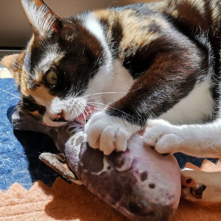 04a628a9 8df8 49a4 8625 869eef8941ab 1654576629968