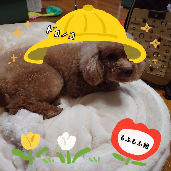 04a64ad6 f838 4927 82db aa2c7f45f7e3 1712581343660