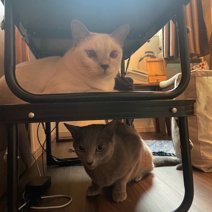 04a6649f b3f0 46d9 9d37 a905deeb72fa 1735880323743