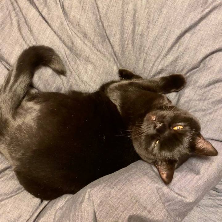 04a6652c b848 4dc4 8b26 d7c991fc6868 1679492872163