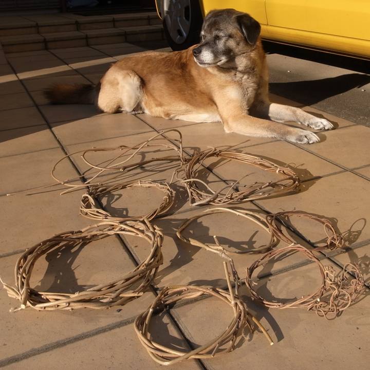 04a67878 63df 46b4 a79c 14b0e6906fa2 1584580545818