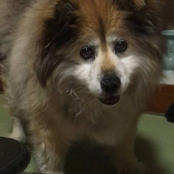 04a6866a 5b8a 4172 bf91 f9dade642d4d 1599362326501