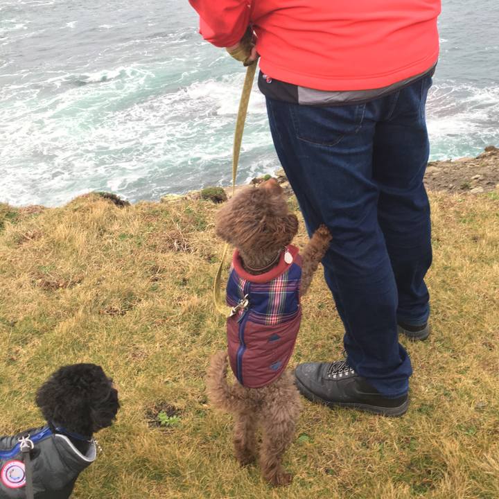 04a699c4 45a7 4eca a698 1c14fae5a89e 1577800577705