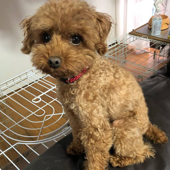 04a742ba 3572 4cad aa81 fd605fd8aad7 1561375931018