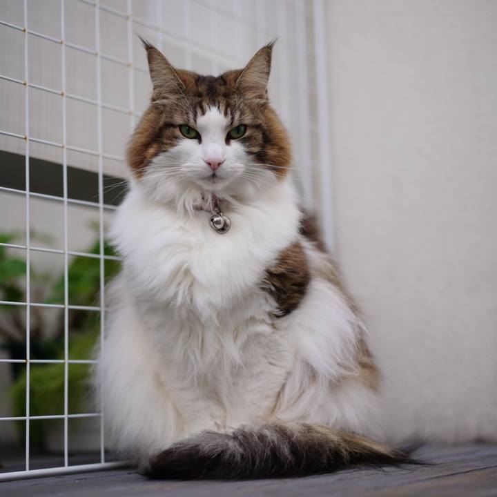 04a750dc 5573 411d a979 9ca7fe8b0ae1 1674385628791