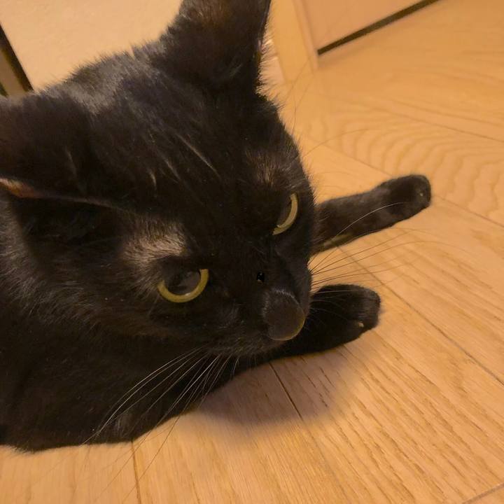 04a752be 95de 48a8 862c 9fa7d1cc648e 1563024517933