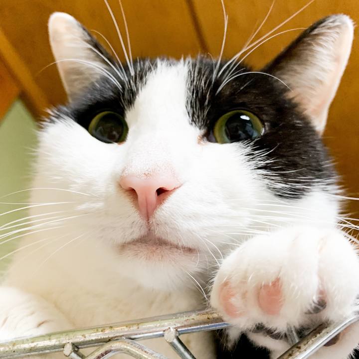 04a76a49 d95b 4c6a 8102 1d1fb921afa2 1545707663872