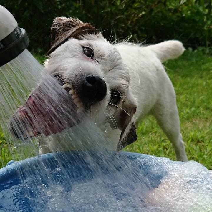 04a774f9 1439 4c6e 9467 cd02a0736e6e 1597103455971