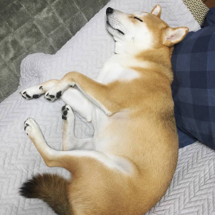 04a7b554 7756 485d 84e9 b55902393899 1539868168267