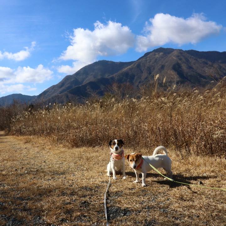 04a8335b e1db 43b3 8987 0b3b8856c0af 1609046883128