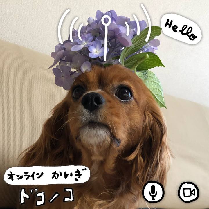 04a85621 633f 4dfe a04b 2b6a08322064 1593691071684