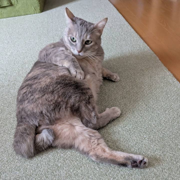 04a888ea 2191 4fa0 acdc b8f8f1205cda 1771325064461