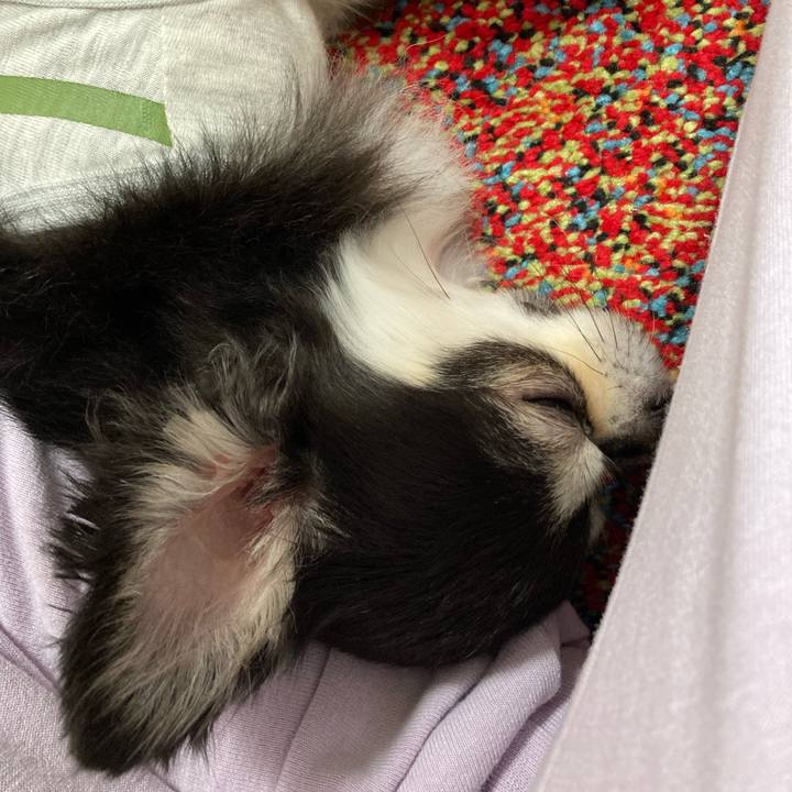 04a8ae36 5fd7 4b9d a9c8 7396cf942915 1684597334496