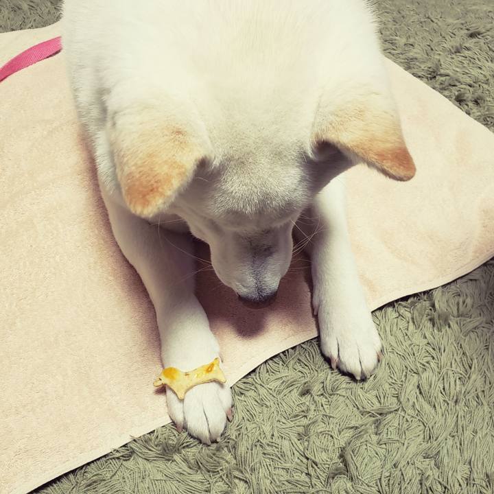 04a942d5 0dcd 4e3c a091 32f72472ee28 1551010975756