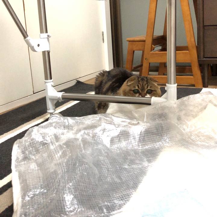 04a955b1 1b66 4bee aa68 5f7e7bb4d973 1540734383415