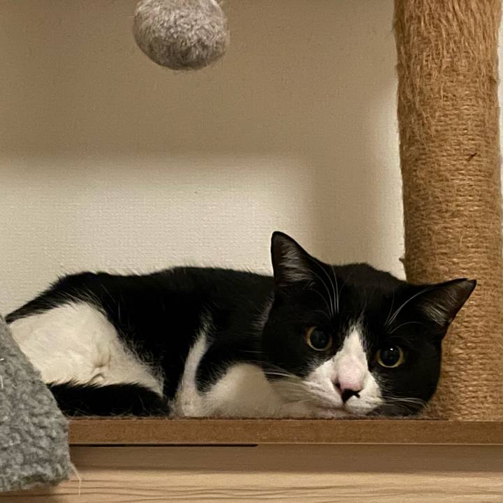 04a95dc2 93e7 480e a924 37109514add3 1708513013755