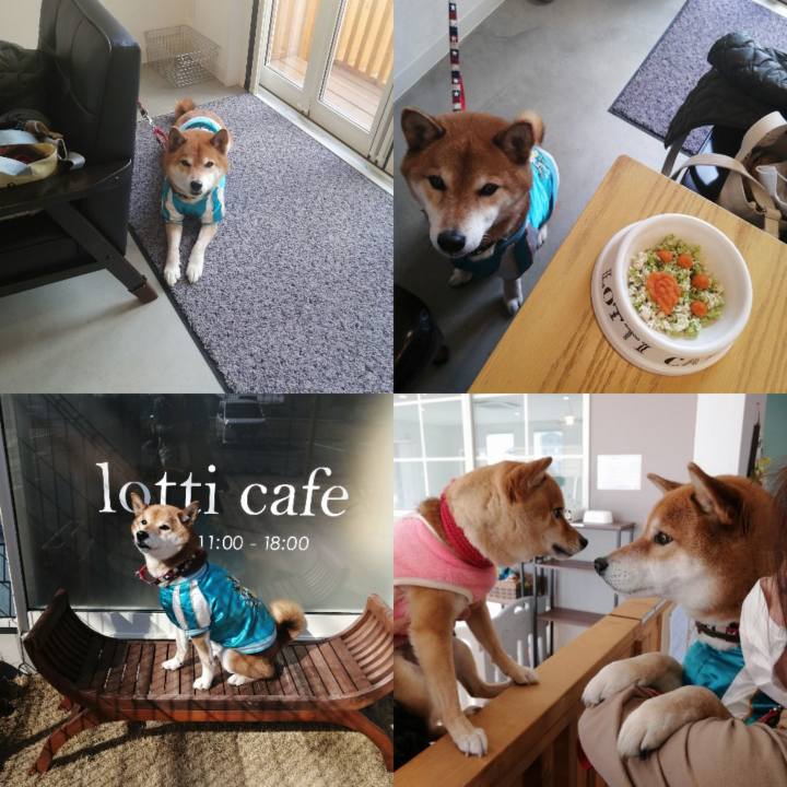 04a96a8e c888 4641 89ab c2395ef89ed4 1645544138145