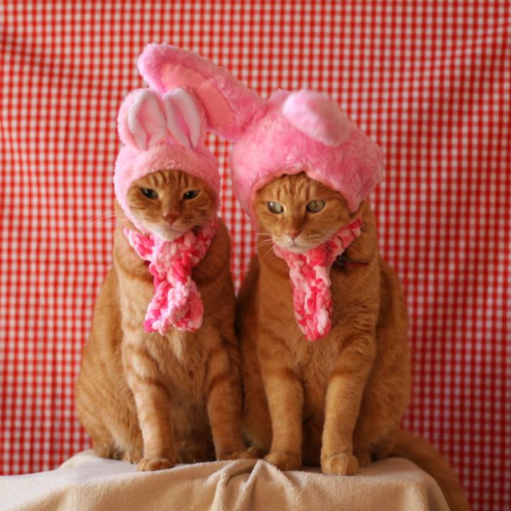 04a98381 4c93 4ec5 a716 3d3b63b343ea 1513393696226