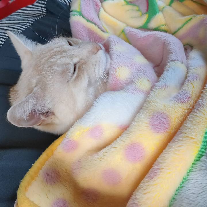 04a9b8d2 0bb3 42e2 930c a704063109dd 1675578680795