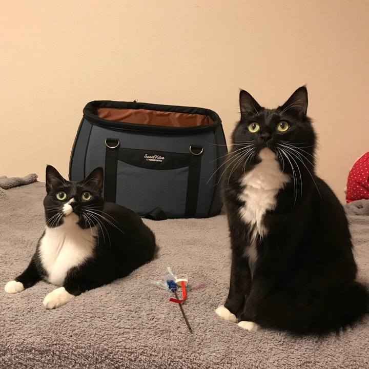 04a9ddcb 87fb 4a41 a4be fb7657df3ef1 1519169600717