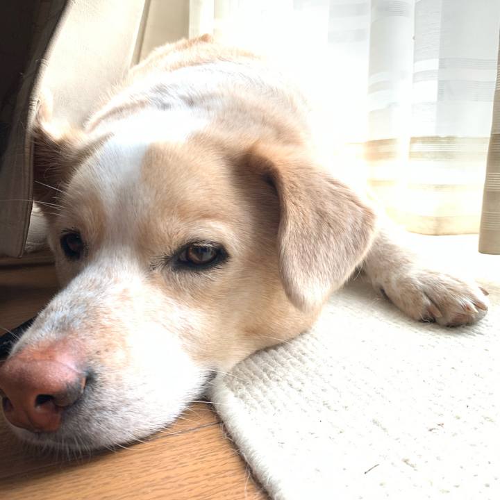 04aa1725 36d6 49de 880f fa880eb6c2c8 1588737311417