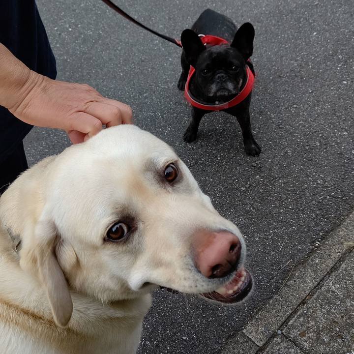 04aa321c 9ae0 4107 b0ae fad714db16ae 1591144644922