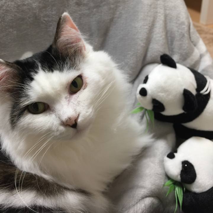 04aa6442 c079 4492 9aad ab4140b82a6f 1513502947773