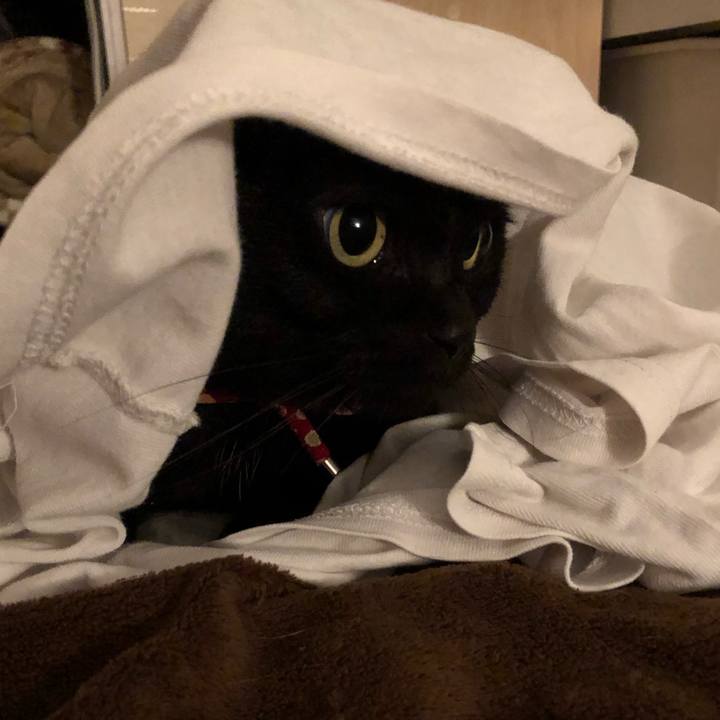 04aa977a 96d1 47a5 87a5 8312131f9e88 1624193157166