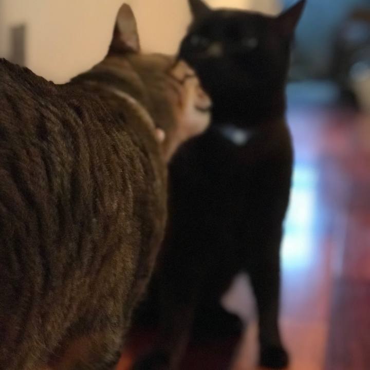 04aab405 ebde 455b a4a9 39b3227f8c2e 1523660802255