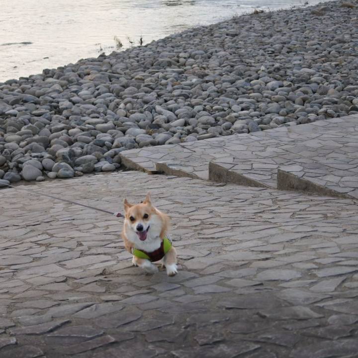 04aabe86 1e19 419d 9c91 8f43098bb1bd 1578879114183