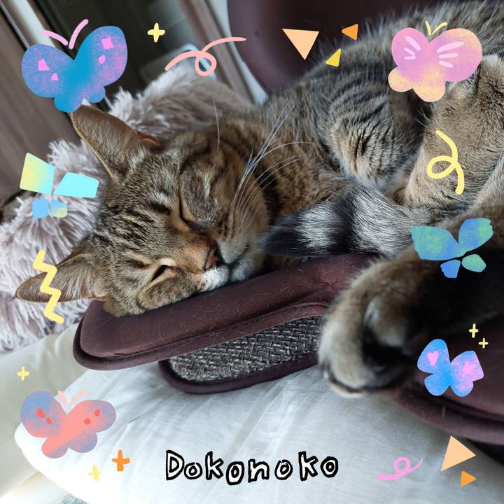 04aac291 304b 4b4f 95f3 e888dff04176 1710988713578