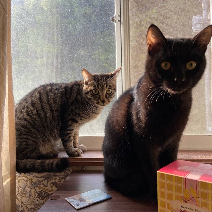 04aaceb7 ef51 49d6 b007 524dfd0ac927 1617968251925