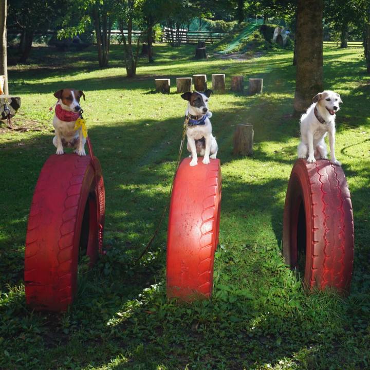 04aae450 cdad 4b80 920d 2441c51e8c07 1535611316508