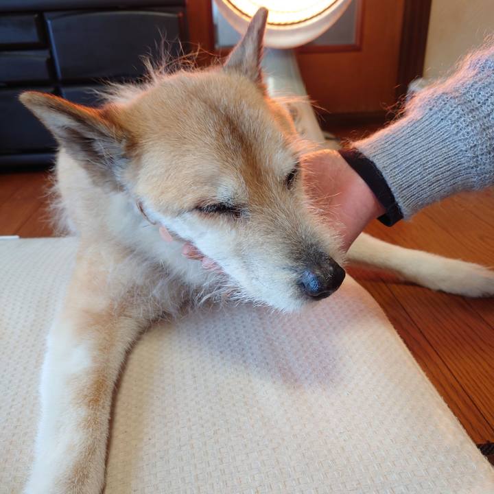 04ab1905 c7c7 4ce1 9ed0 b6b444990e95 1614476734514