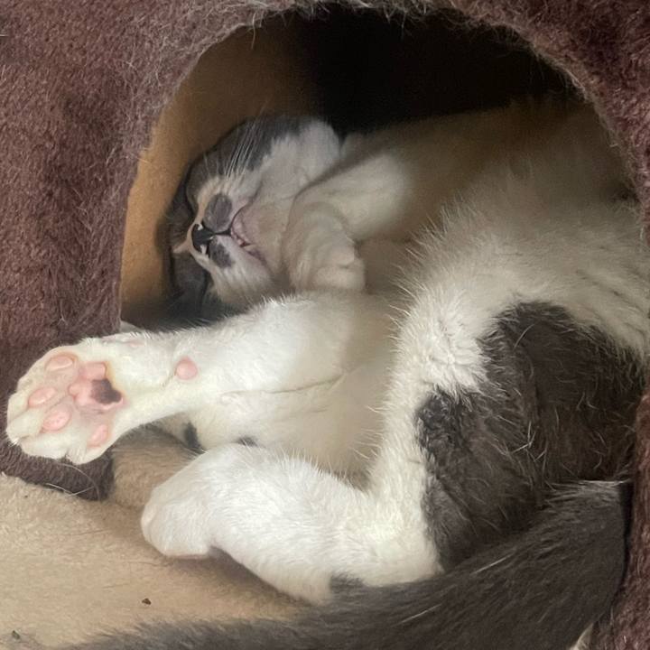 04ab2108 cf8c 400d b8b1 afb76532a9bd 1751521385739