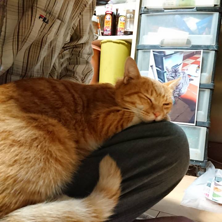 04ab4597 2bc6 4816 92c6 351724d8383f 1601153637280